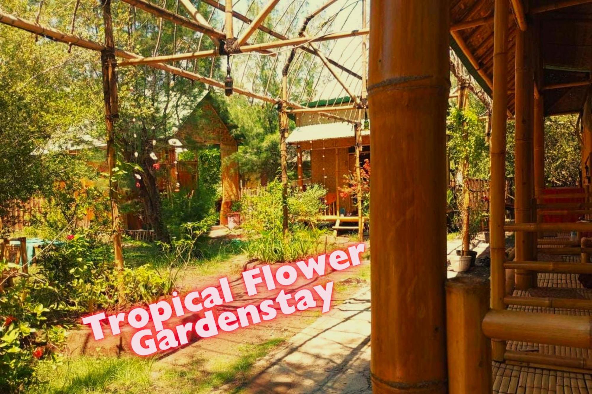Uncle Hippie'S Dream Hostel Gili Meno Buitenkant foto