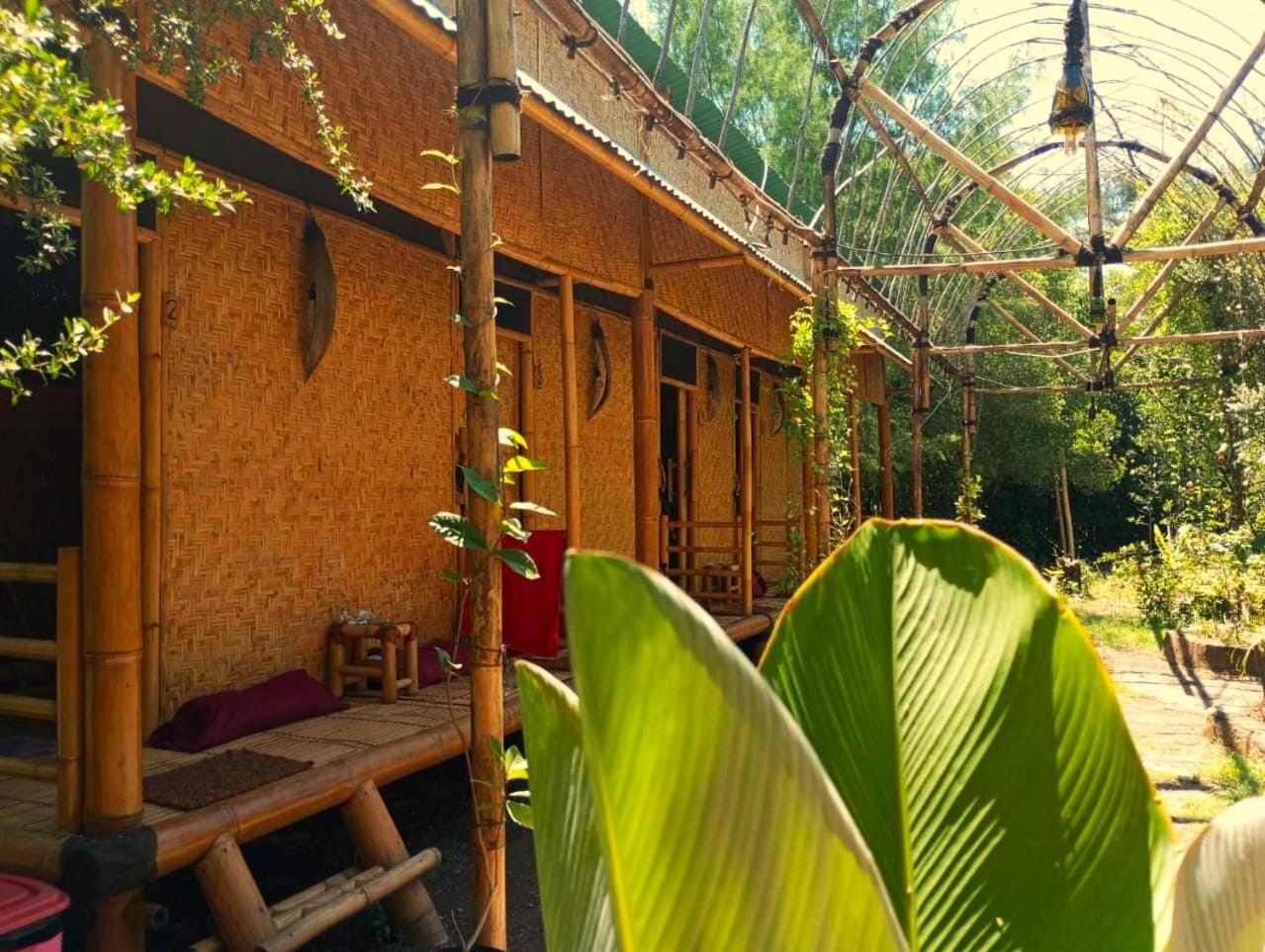 Uncle Hippie'S Dream Hostel Gili Meno Buitenkant foto