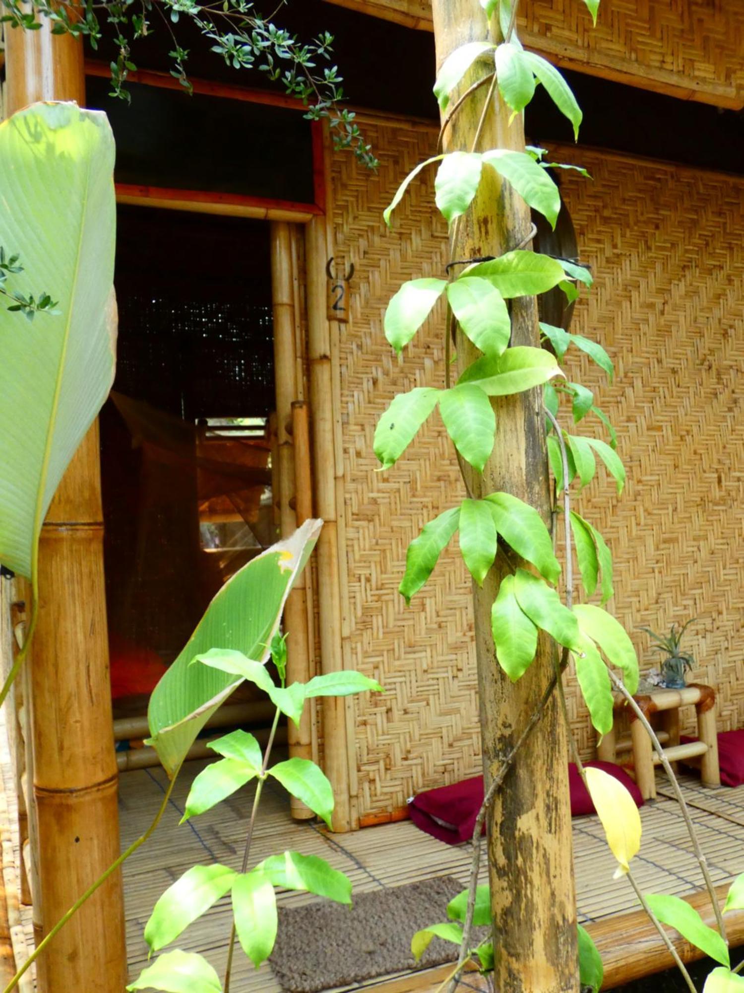 Uncle Hippie'S Dream Hostel Gili Meno Buitenkant foto